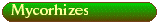 Mycorhizes