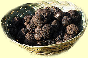 panier de truffes