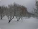DSCN5521