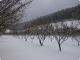 DSCN5547